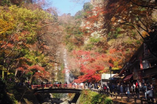 MITSUWAYA Staff Mako's recommendation Osaka trip"Minoh waterfall"