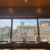 GUEST GALLERY APRIL 2025