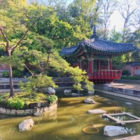 Mitsuwaya Staff Nanami's recommendation for a park in Osaka