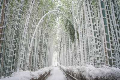 Mitsuwaya Staff Yuks's Recommendation Kyoto One Day Trip "Bamboo Forest Path"