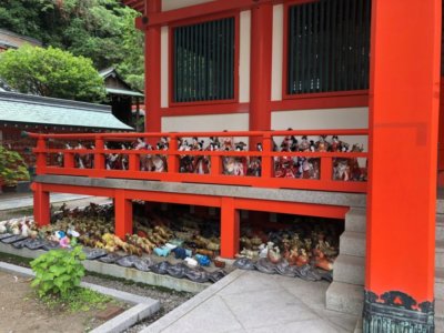 MITSUWAYA staff Yukako recommendation Wakayama one day trip awashima shrine