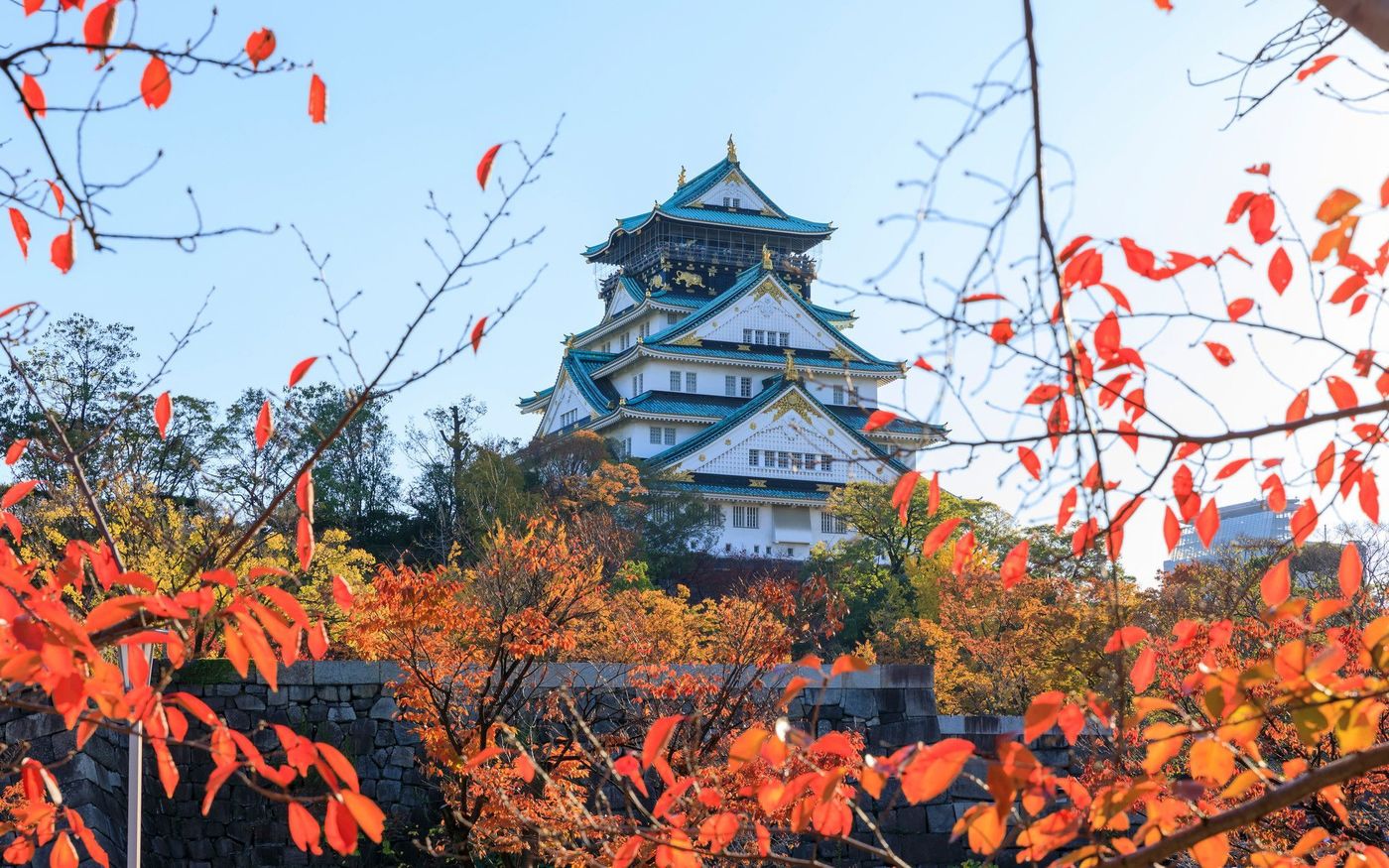 MITSUWAYA Staff YUKA's Recommendation Osaka Event "Osaka Castle's Autumn leaves"ｖ