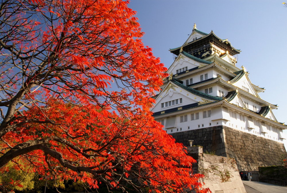 MITSUWAYA Staff YUKA's Recommendation Osaka Event "Osaka Castle's Autumn leaves"