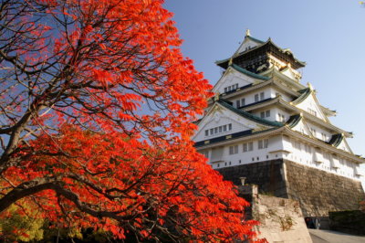 MITSUWAYA Staff YUKA's Recommendation Osaka Event "Osaka Castle's Autumn leaves"