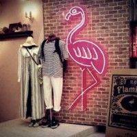 Mitsuwaya Staff Haru's Recommendation Kyoto One Day Trip "Flamingo"