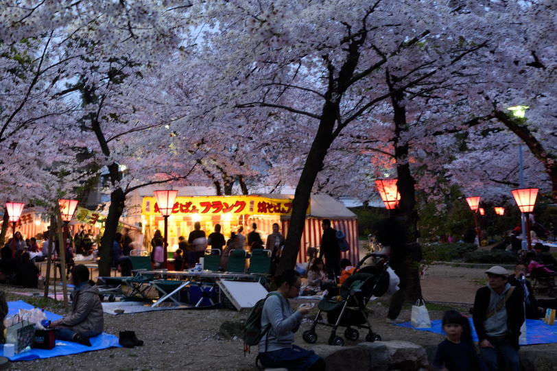 HANAMI at the hole-in-the-wall place with excellent cherry blossom｜MITSUWAYA
