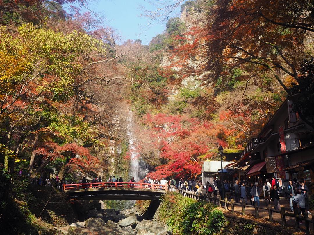 MITSUWAYA Staff Jiro's recommendation Osaka trip"Minoh waterfall"
