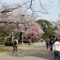MITSUWAYA Staff Jiro recommendation Osaka trip Osaka castle