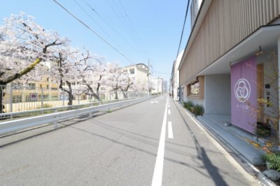 Mitsuwaya staff Mako's recommendation, Osaka trip"Cherry blossoms viewing in Osaka"