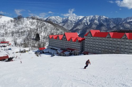 MITSUWAYA Staff Taku's recommendation one day trip"Nagano ski"