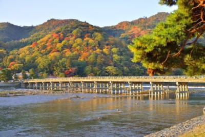 Mitsuwaya Staff Yuks's Recommendation Kyoto One Day Trip "Togetsukyo Bridge"