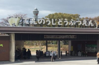 みつわ屋スタッフSHUHEIがおすすめする大阪の観光スポット”天王寺動物園”