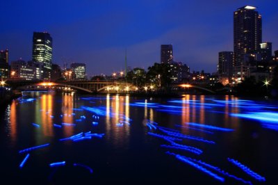 みつわ屋スタッフYUKAオススメ、大阪イベント「令和OSAKA天の川伝説2019」